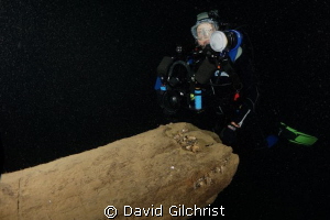 Diver poses at the broken bowsprit on the Tiller Wreck, L... by David Gilchrist 